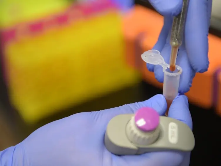 Foodborne Pathogen Screening Using Magneto-fluorescent Nanosensor: Rapid Detection of <em>E. Coli</em> O157:H7