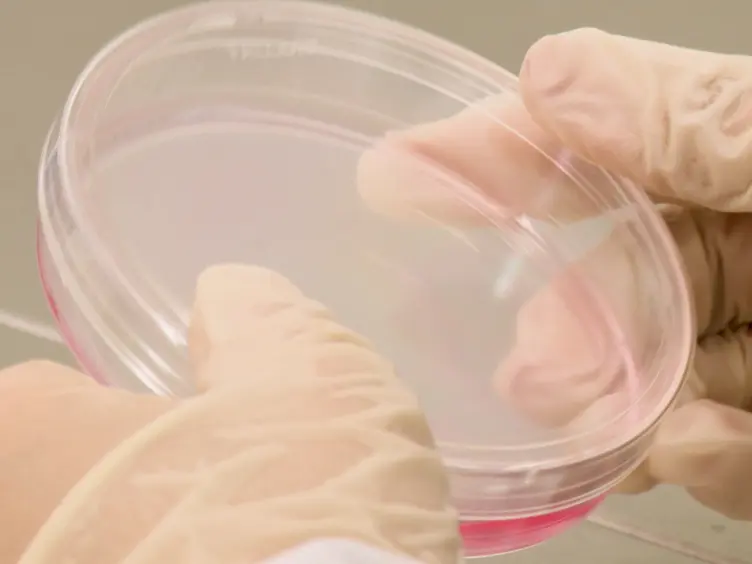 Live-cell Measurement of Odorant Receptor Activation Using a Real-time cAMP Assay