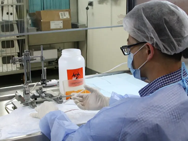 Intranasal Delivery of Therapeutic Stem Cells to Glioblastoma in a Mouse Model