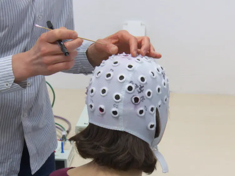 Simultaneous Transcranial Alternating Current Stimulation and Functional Magnetic Resonance Imaging