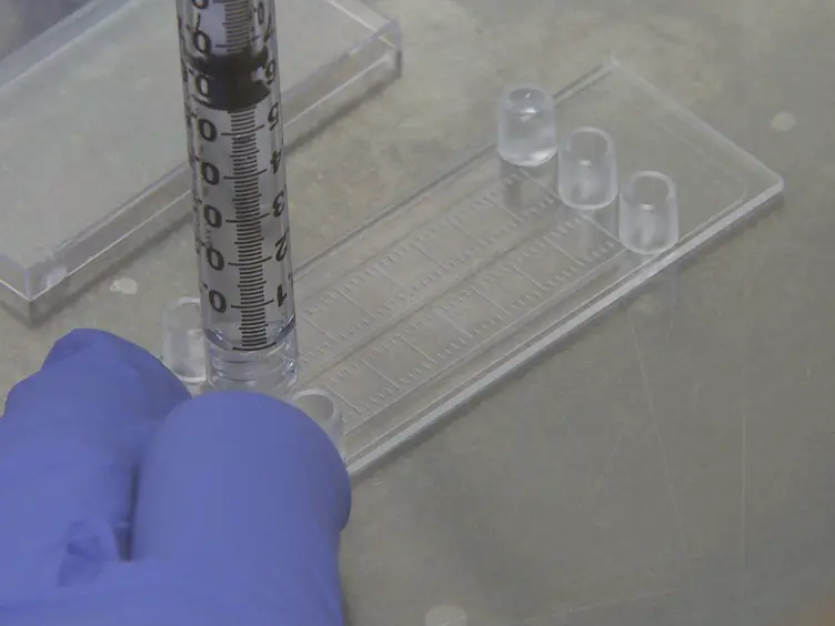 Investigating von Willebrand Factor Pathophysiology Using a Flow Chamber Model of von Willebrand Factor-platelet String Formation