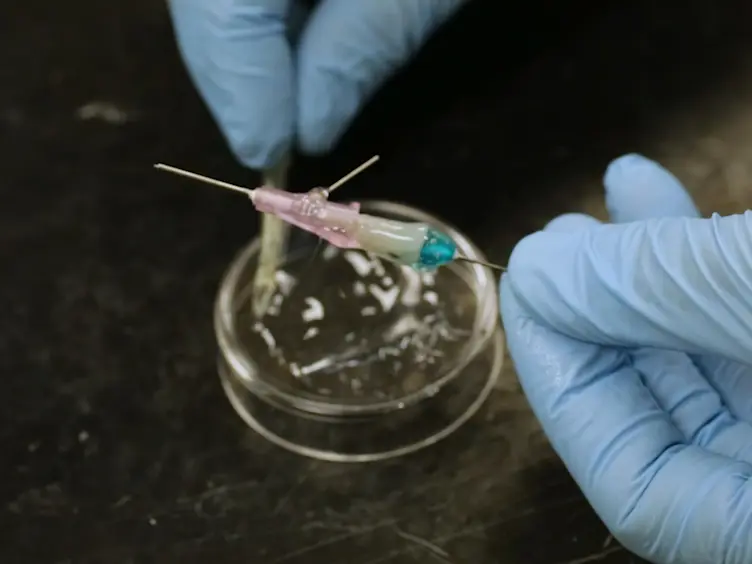 Microfluidic Bioprinting for Engineering Vascularized Tissues and Organoids
