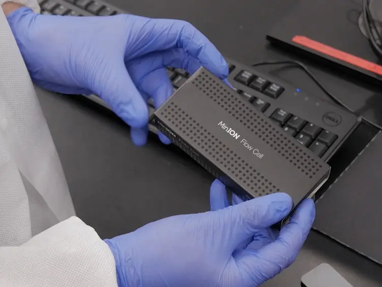 Nanopore DNA Sequencing for Metagenomic Soil Analysis