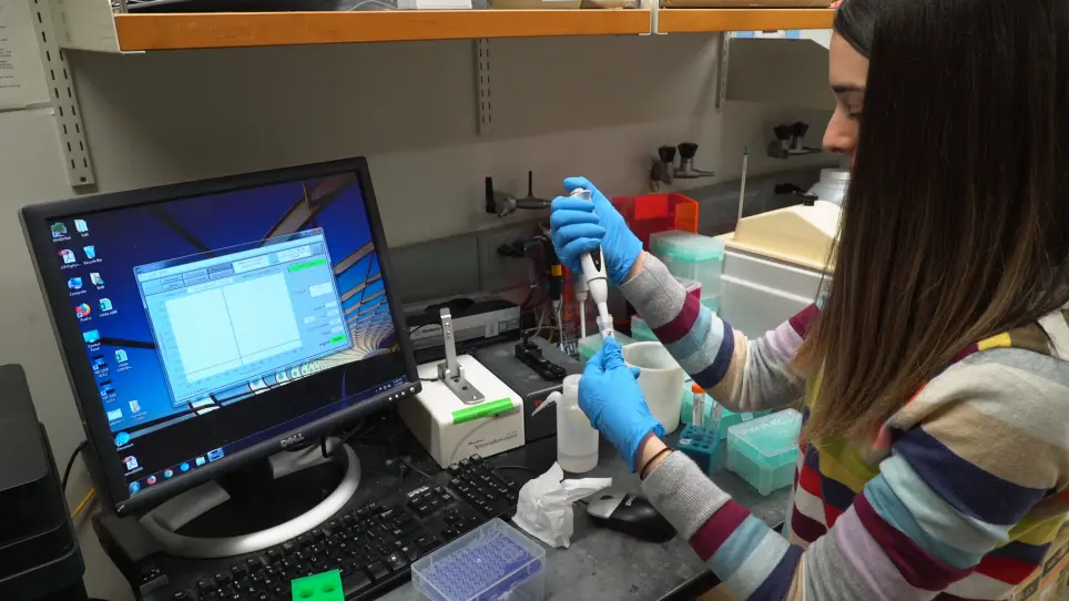 Force Spectroscopy of Single Protein Molecules Using an Atomic Force Microscope