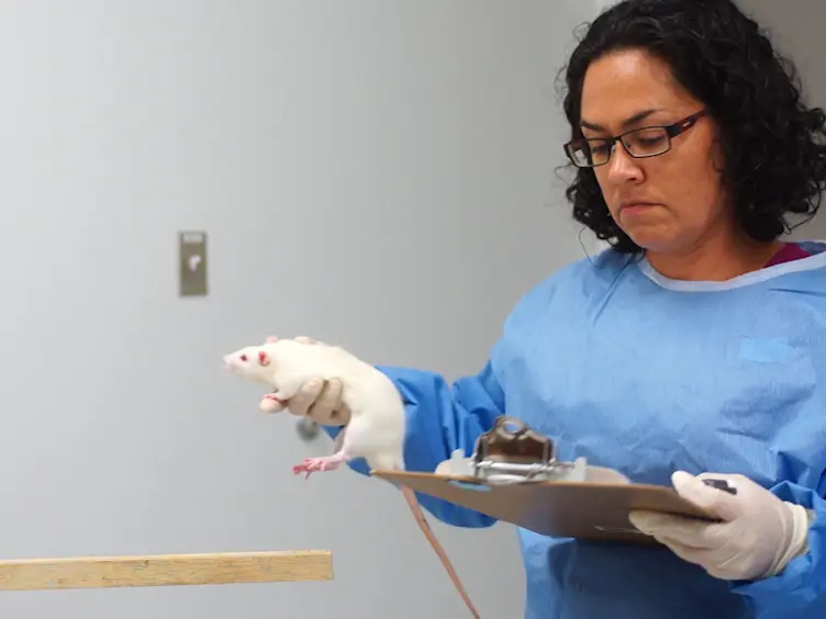Detecting Behavioral Deficits in Rats After Traumatic Brain Injury