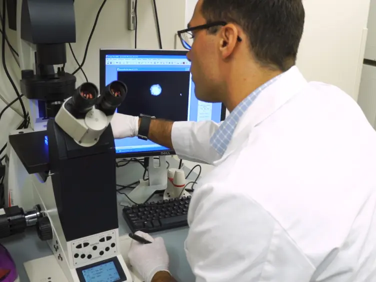 Flow Cytometry-based Drug Screening System for the Identification of Small Molecules That Promote Cellular Differentiation of Glioblastoma Stem Cells