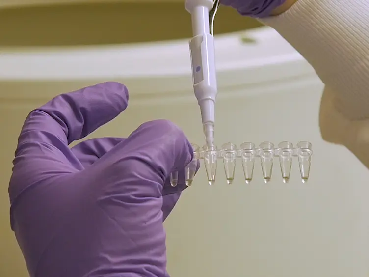 Shifting Zebrafish Lethal Skeletal Mutant Penetrance by Progeny Testing
