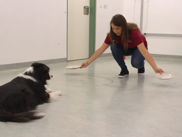 The Other End of the Leash: An Experimental Test to Analyze How Owners Interact with Their Pet Dogs
