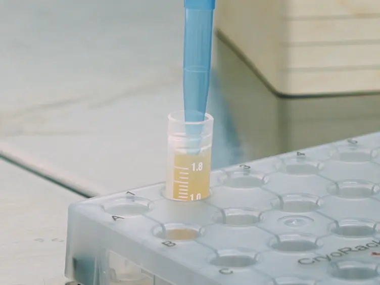 Generic Protocol for Optimization of Heterologous Protein Production Using Automated Microbioreactor Technology