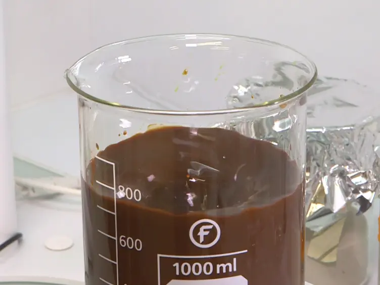 Experimental Column Setup for Studying Anaerobic Biogeochemical Interactions Between Iron (Oxy)Hydroxides, Trace Elements, and Bacteria