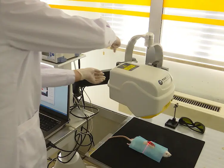 Using Laser Doppler Imaging and Monitoring to Analyze Spinal Cord Microcirculation in Rat