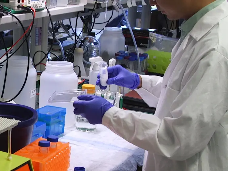 Personalized Peptide Arrays for Detection of HLA Alloantibodies in Organ Transplantation