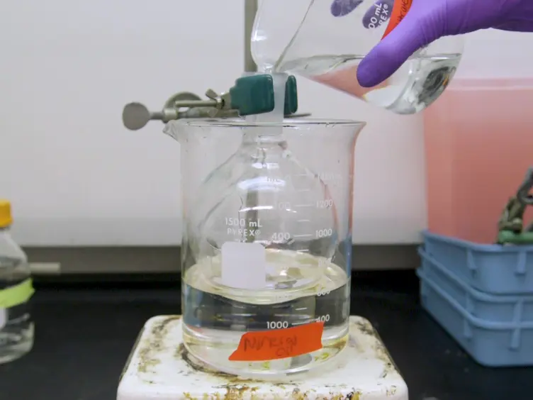 Ultrathin Porated Elastic Hydrogels As a Biomimetic Basement Membrane for Dual Cell Culture