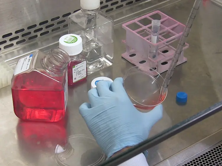 Pooled shRNA Screen for Reactivation of MeCP2 on the Inactive X Chromosome