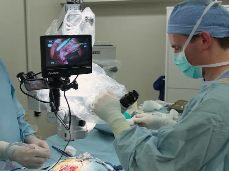Laminotomy for Lumbar Dorsal Root Ganglion Access and Injection in Swine