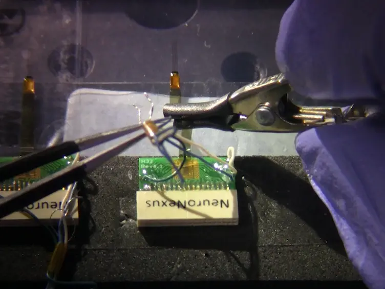 Implantation of Chronic Silicon Probes and Recording of Hippocampal Place Cells in an Enriched Treadmill Apparatus