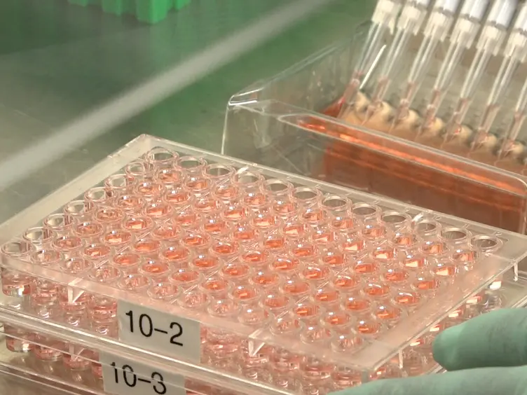 Measuring Influenza Neutralizing Antibody Responses to A(H3N2) Viruses in Human Sera by Microneutralization Assays Using MDCK-SIAT1 Cells