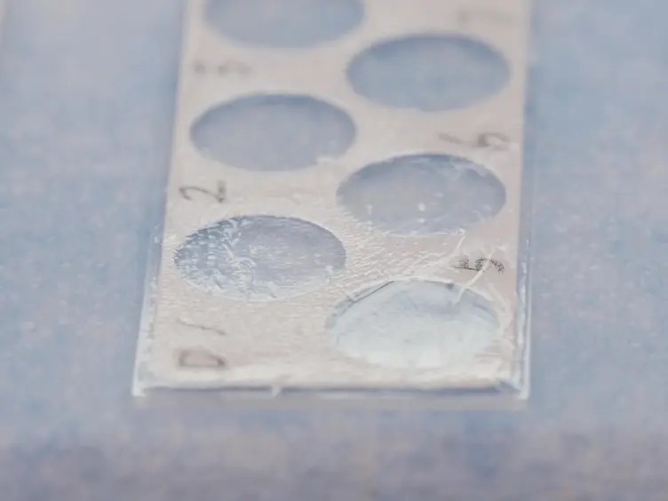 Evaluating <em>In Vitro</em> DNA Damage Using Comet Assay