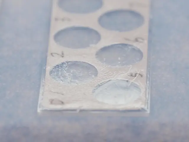 Evaluating <em>In Vitro</em> DNA Damage Using Comet Assay