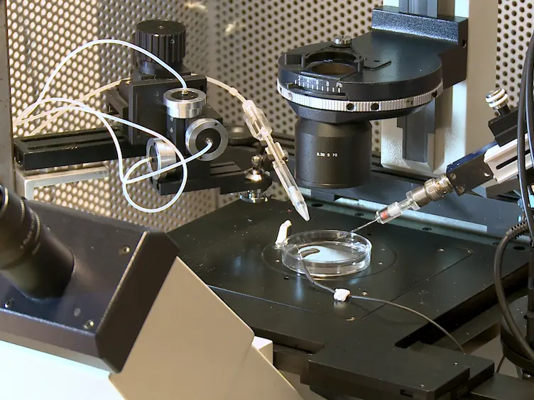 Monitoring the Effect of Osmotic Stress on Secretory Vesicles and Exocytosis