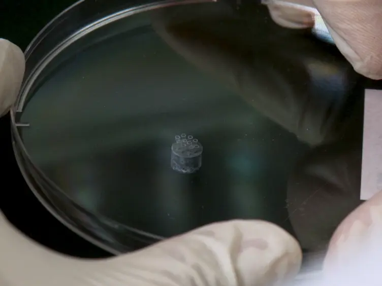 Visual Detection of Multiple Nucleic Acids in a Capillary Array