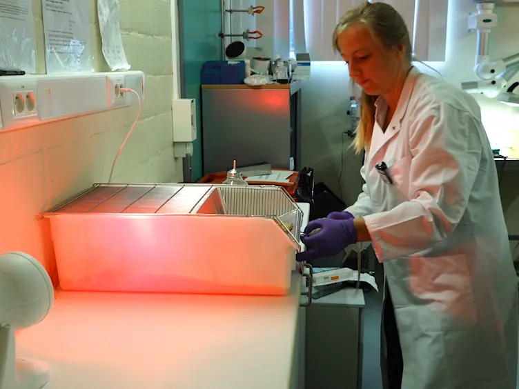 PET and MRI Guided Irradiation of a Glioblastoma Rat Model Using a Micro-irradiator