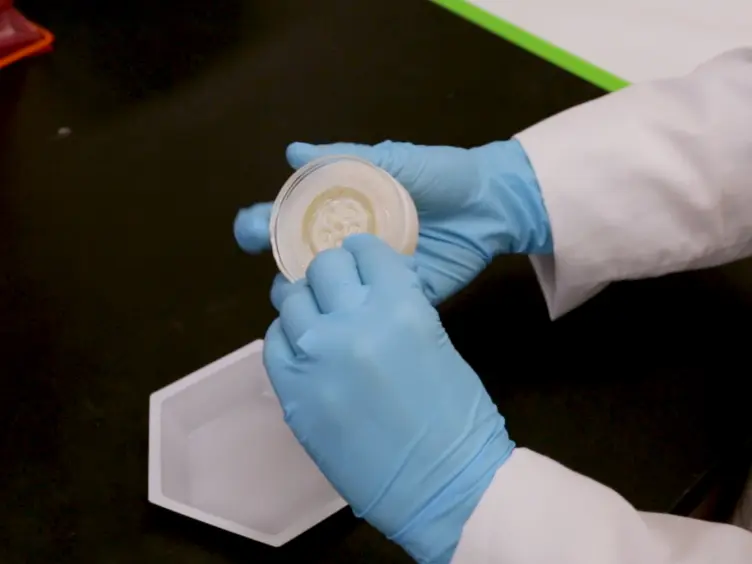 Fabrication of Custom Agarose Wells for Cell Seeding and Tissue Ring Self-assembly Using 3D-Printed Molds