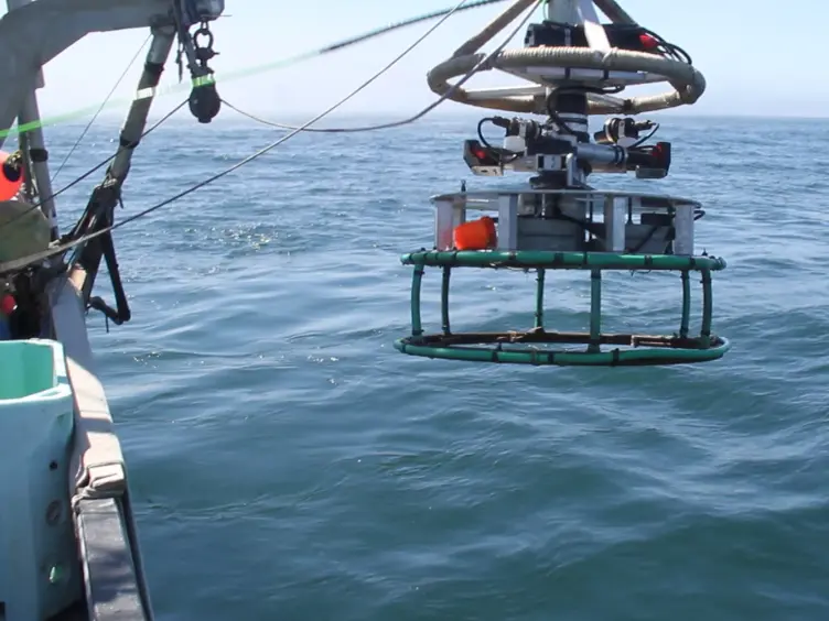 Development of New Methods for Quantifying Fish Density Using Underwater Stereo-video Tools