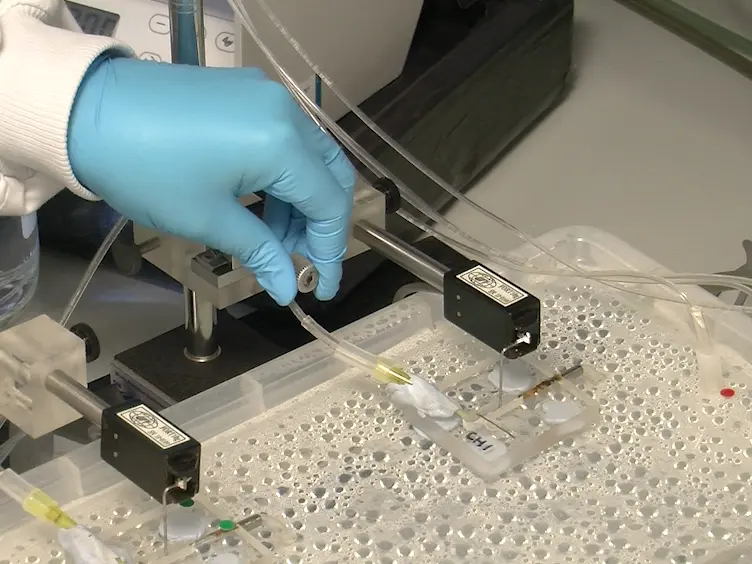 Contractility Measurements of Human Uterine Smooth Muscle to Aid Drug Development