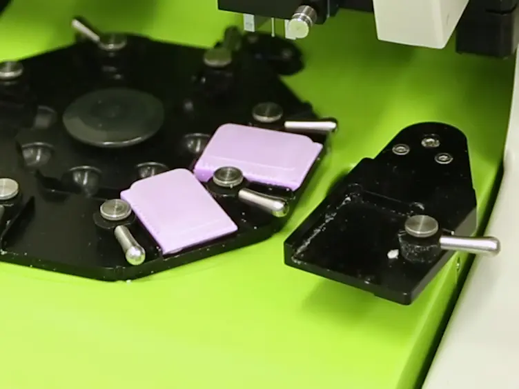 Building Up a High-throughput Screening Platform to Assess the Heterogeneity of HER2 Gene Amplification in Breast Cancers