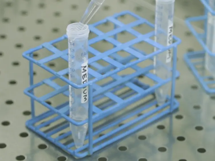 An Efficient <em>In Vitro</em> Transposition Method by a Transcriptionally Regulated Sleeping Beauty System Packaged into an Integration Defective Lentiviral Vector
