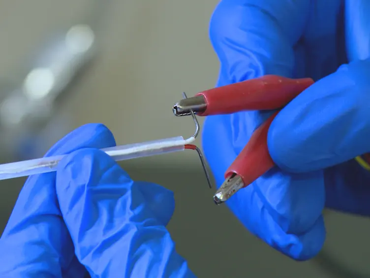 Intracavernosal Pressure Recording to Evaluate Erectile Function in Rodents