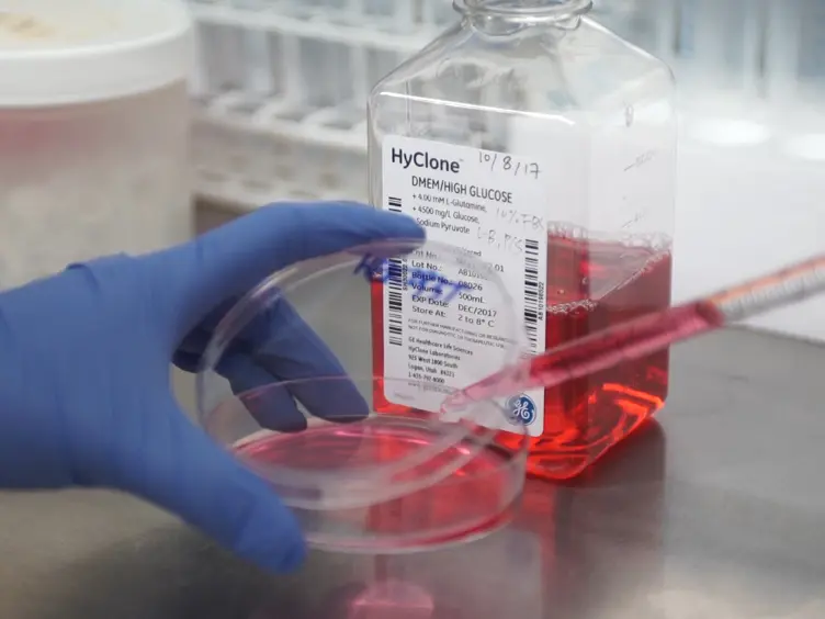 An Engineered Split-TET2 Enzyme for Chemical-inducible DNA Hydroxymethylation and Epigenetic Remodeling