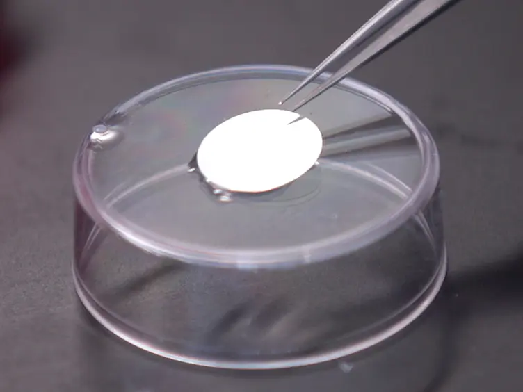 Fabricating Optical-quality Glass Surfaces to Study Macrophage Fusion