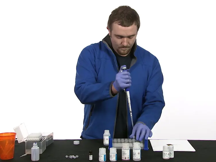 On-Site Molecular Detection of Soil-Borne Phytopathogens Using a Portable Real-Time PCR System