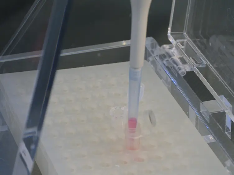 Metabolic Labeling and Profiling of Transfer RNAs Using Macroarrays