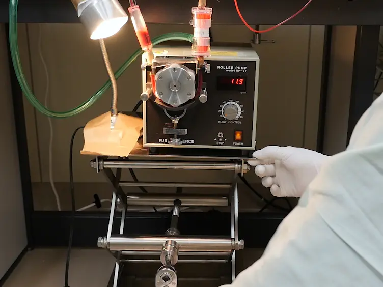 A Recovery Cardiopulmonary Bypass Model Without Transfusion or Inotropic Agents in Rats