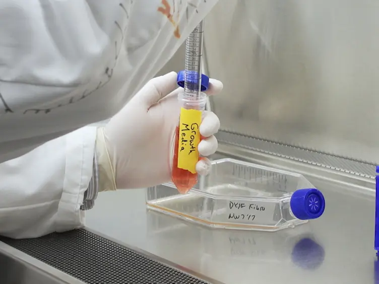 Cell Membrane Repair Assay Using a Two-photon Laser Microscope