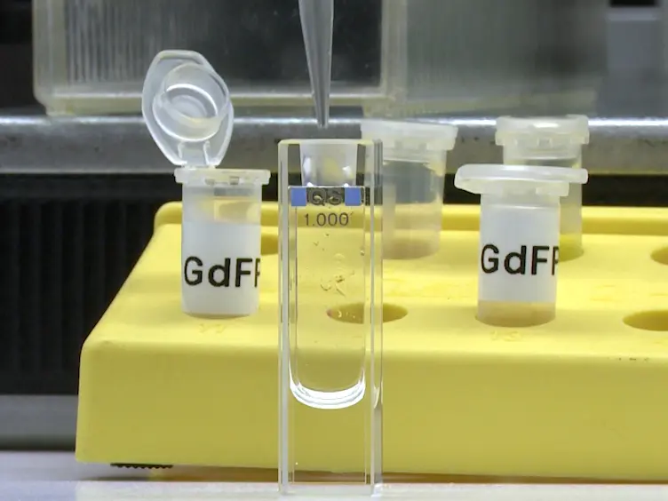 Engineering 'Golden' Fluorescence by Selective Pressure Incorporation of Non-canonical Amino Acids and Protein Analysis by Mass Spectrometry and Fluorescence
