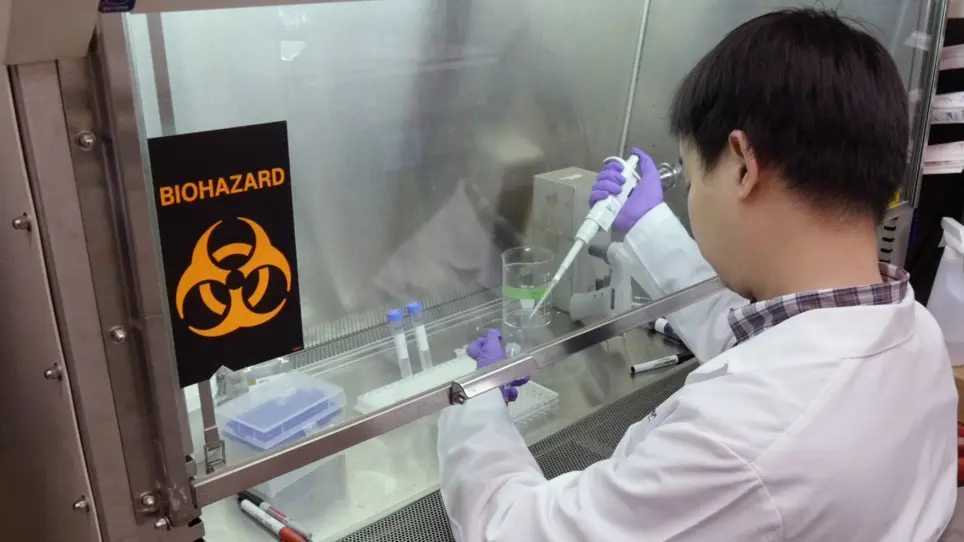 Genetic Engineering of Primary Mouse Intestinal Organoids Using Magnetic Nanoparticle Transduction Viral Vectors for Frozen Sectioning