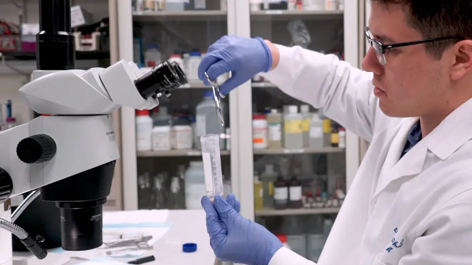 A Simple High Efficiency Protocol for Pancreatic Islet Isolation from Mice