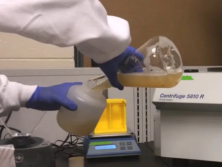A Facile Protocol to Generate Site-Specifically Acetylated Proteins in <em>Escherichia Coli</em>