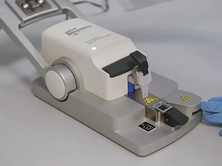 Detection of a <em>CDH1</em> Rare Transcript Variant in Fresh-frozen Gastric Cancer Tissues by Chip-based Digital PCR