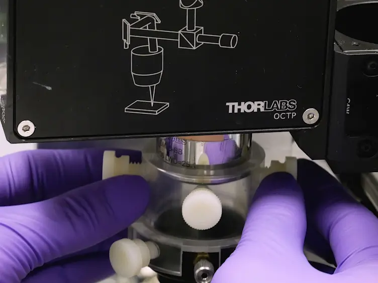 Novel Photoacoustic Microscopy and Optical Coherence Tomography Dual-modality Chorioretinal Imaging in Living Rabbit Eyes