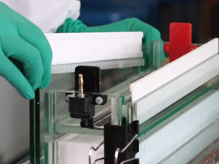 A Fast Silver Staining Protocol Enabling Simple and Efficient Detection of SSR Markers using a Non-denaturing Polyacrylamide Gel