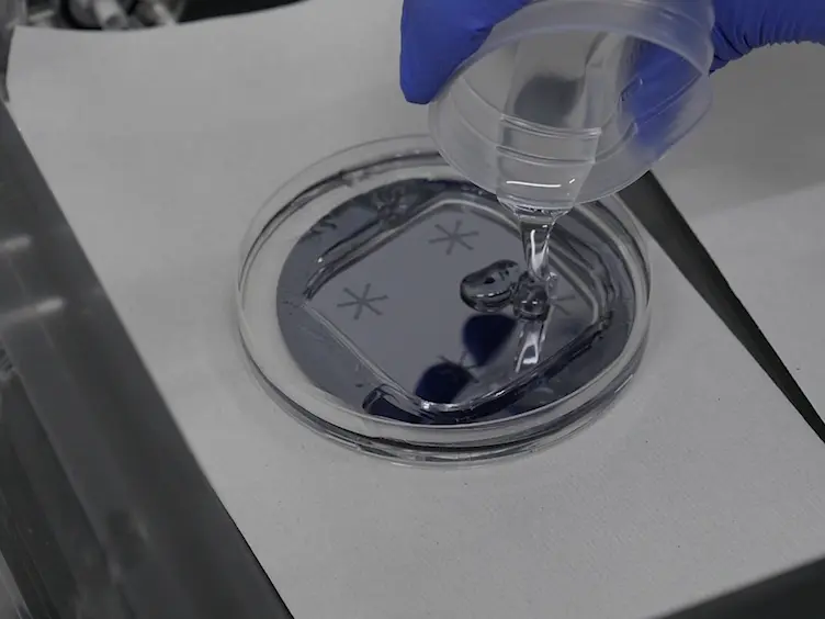 Development of Microfluidic Devices to Study the Elongation Capability of Tip-growing Plant Cells in Extremely Small Spaces