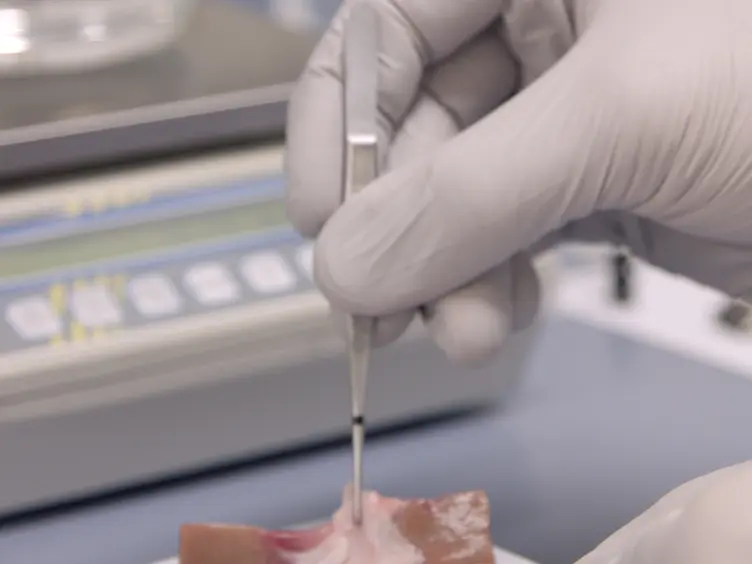 Sampling Strategies and Processing of Biobank Tissue Samples from Porcine Biomedical Models