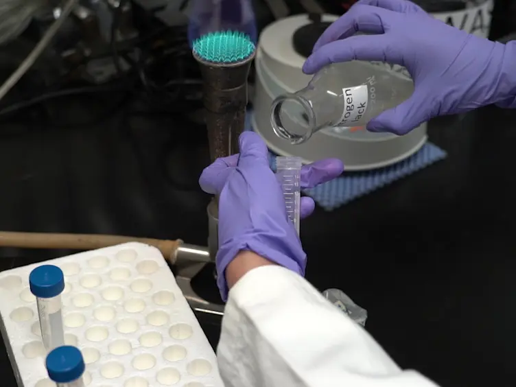 Lipid Index Determination by Liquid Fluorescence Recovery in the Fungal Pathogen <em>Ustilago Maydis</em>