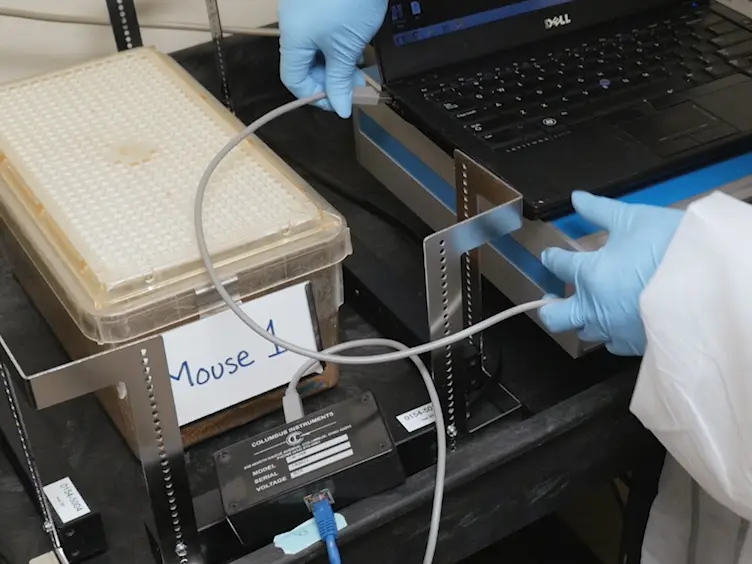 Noninvasive, High-throughput Determination of Sleep Duration in Rodents