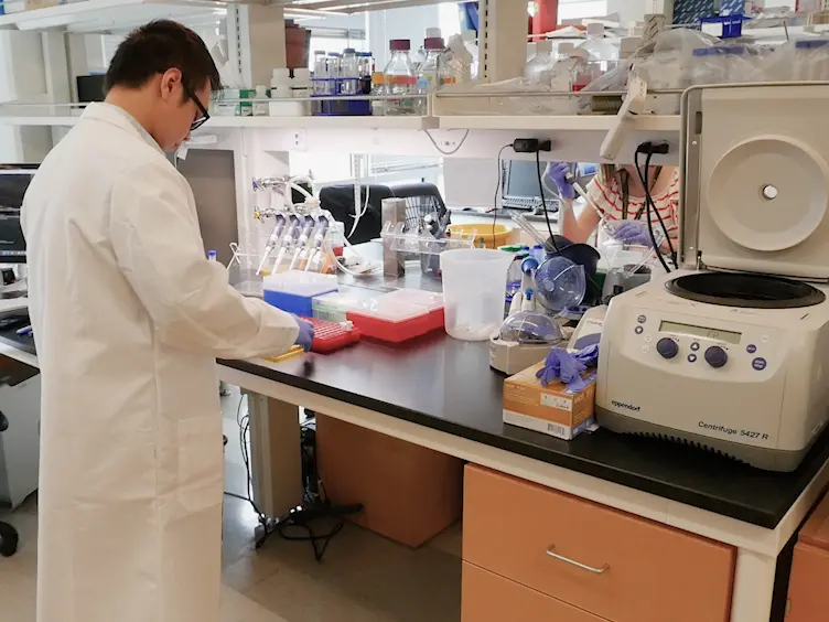 Rare Event Detection Using Error-corrected DNA and RNA Sequencing